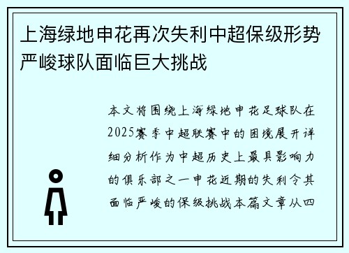 上海绿地申花再次失利中超保级形势严峻球队面临巨大挑战